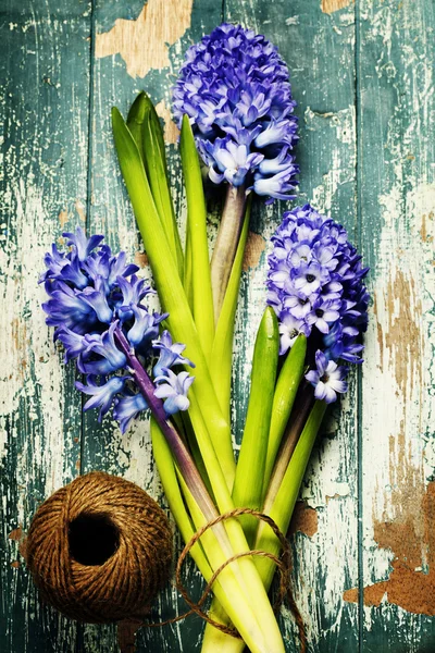 Jacinto de primavera sobre fondo de madera —  Fotos de Stock