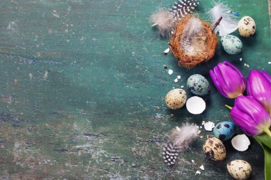 Lale ve yuva Paskalya kompozisyonu