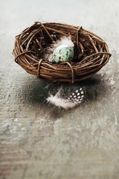 Osterkomposition mit Eiern und Nest — Stockfoto