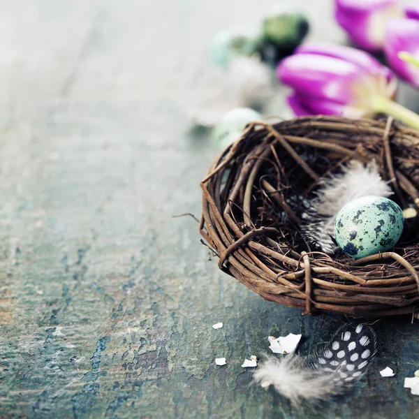 Velikonoční složení s tulipány a hnízdo — Stock fotografie