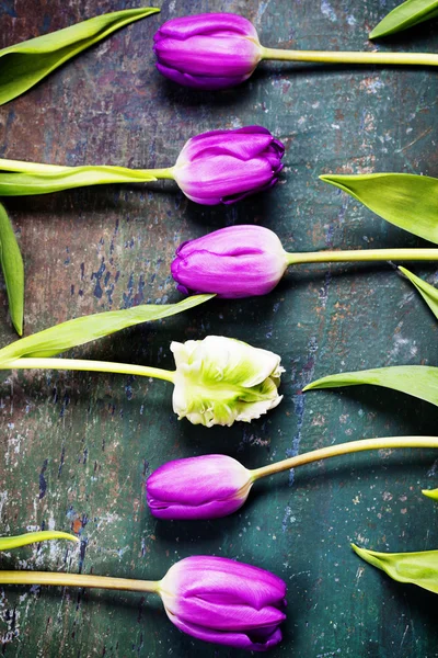 Tulpen auf einem Holzgrund — Stockfoto