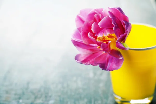 Tulipa rosa no fundo de madeira — Fotografia de Stock