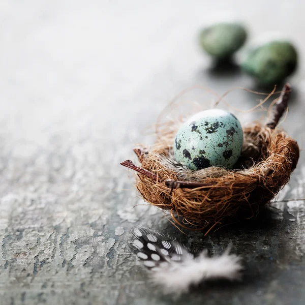 Osterkomposition mit Eiern und Nest — Stockfoto