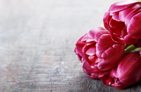 Pink tulips on wooden background — Stock Photo, Image