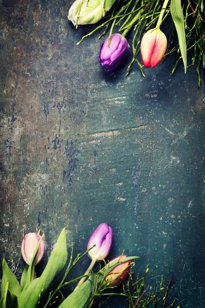 Tulipes sur un fond en bois — Photo