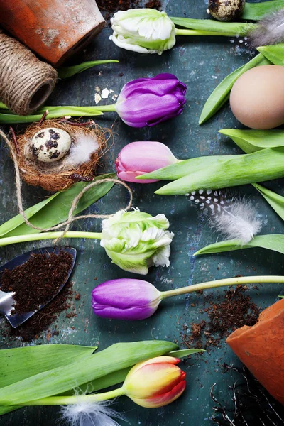 Ovos de Páscoa com flores de tulipa primavera — Fotografia de Stock