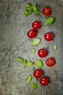 kiraz domates fesleğen yaprakları ile