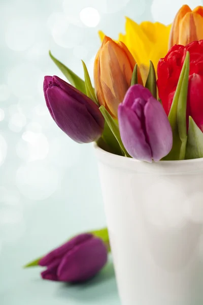 Flores de primavera sobre fondo azul — Foto de Stock