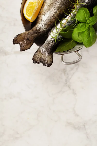 Raw rainbow trout with lemon, herbs and spices — Stock Photo, Image