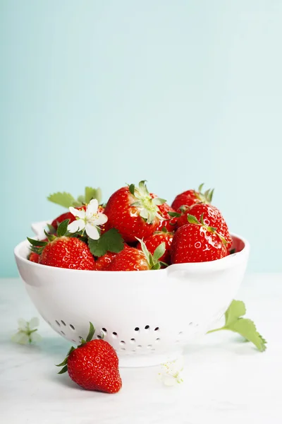 成熟的红草莓 — 图库照片