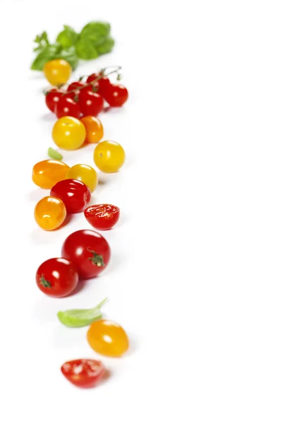 Tomates coloridos e manjericão — Fotografia de Stock