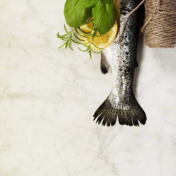 Raw rainbow trout with lemon, herbs and spices — Stock Photo, Image