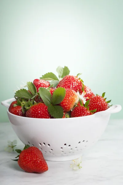 Φράουλες ώριμες — Φωτογραφία Αρχείου