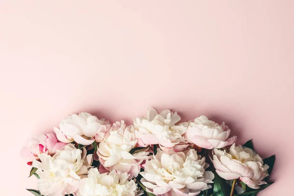 Flat-lay de hermosas flores de peonía sobre fondo rosa, vista superior, espacio de copia — Foto de Stock