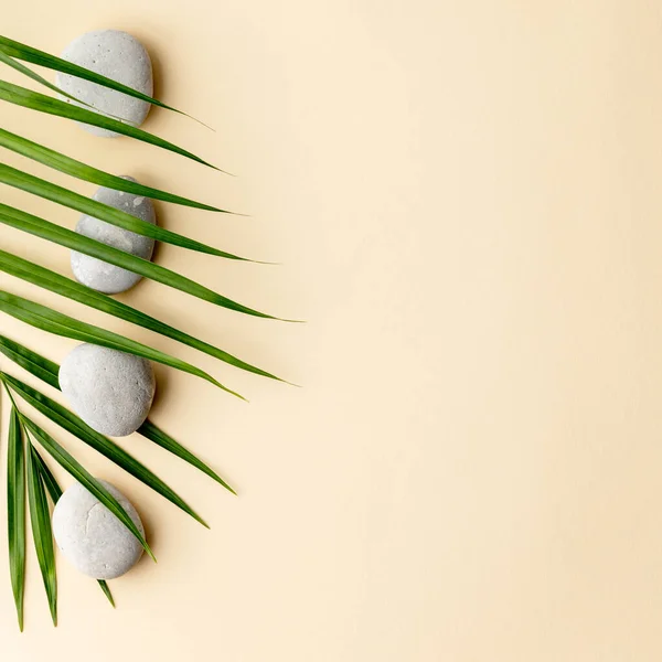 Wellness-Steine und Blätter auf farbigem Hintergrund — Stockfoto
