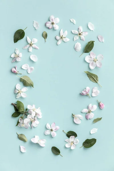 사과 꽃이 달린 장식, 봄 꽃 배경, 위에서 본 것, 평평 한 모습, 틀 — 스톡 사진