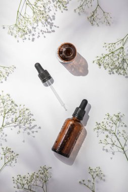 Beyaz arkaplanda bitkisel yağlar, düz yatış, üst görünüm