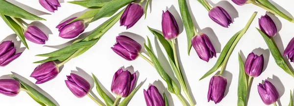 Rosa Tulpenmuster auf weißem Hintergrund flach gelegt, Draufsicht — Stockfoto