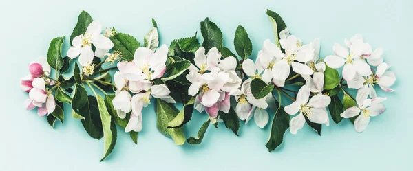 Platt-lay av vita äpple blommor över ljusblå bakgrund, ovanifrån, platt låg — Stockfoto