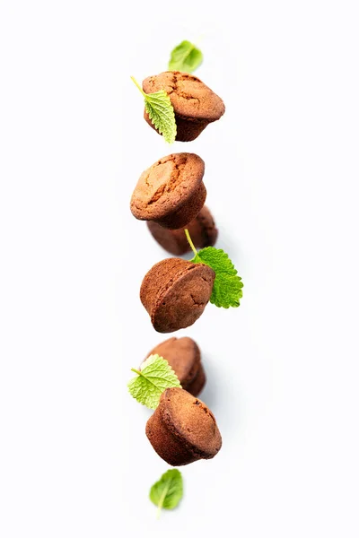 Schokoladenmuffins mit Minzblättern schweben, hellgrauer Hintergrund — Stockfoto