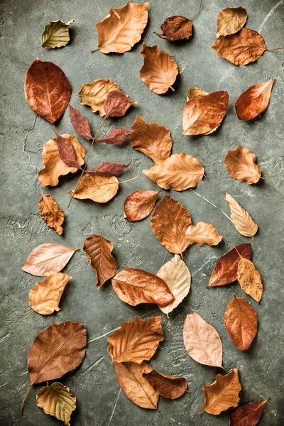 Autunno foglie su sfondo verde vintage piatto lay — Foto Stock