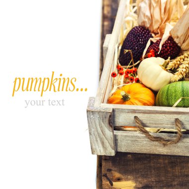 sonbahar kompozisyon