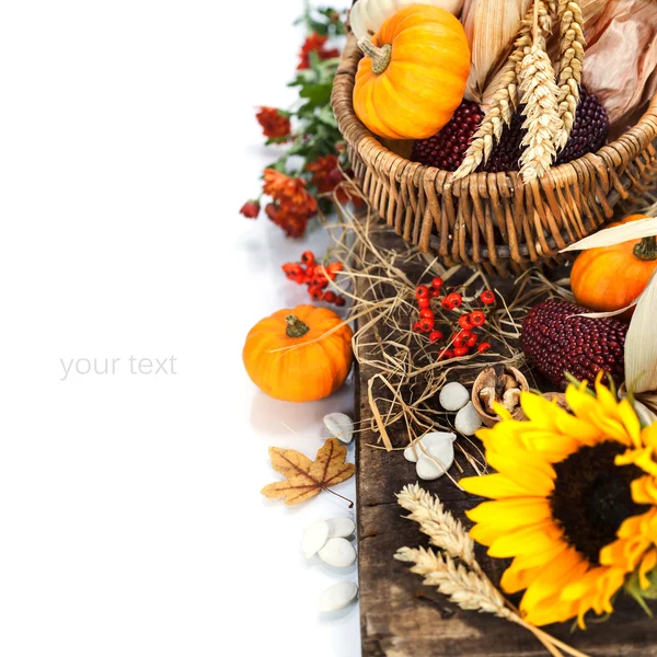 Höstens sammansättning — Stockfoto