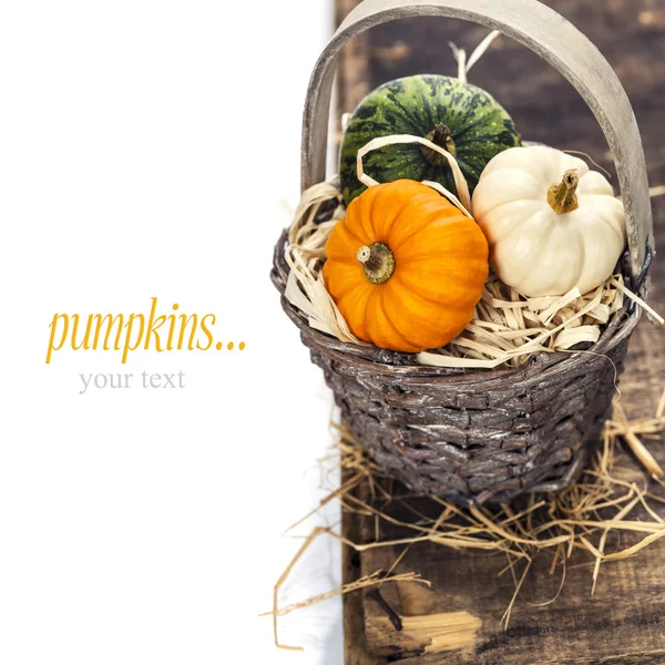 Pumpkins — Stock Photo, Image