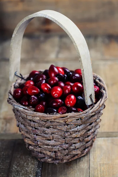 Cranberries — Stock Photo, Image