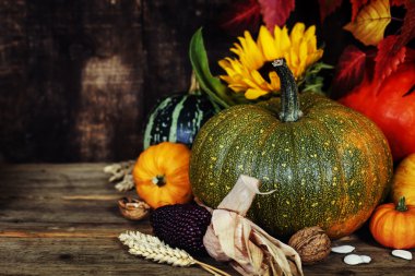 sonbahar kompozisyon