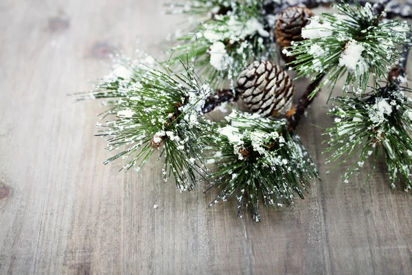 Christmas pine tree branch — Stock Photo, Image