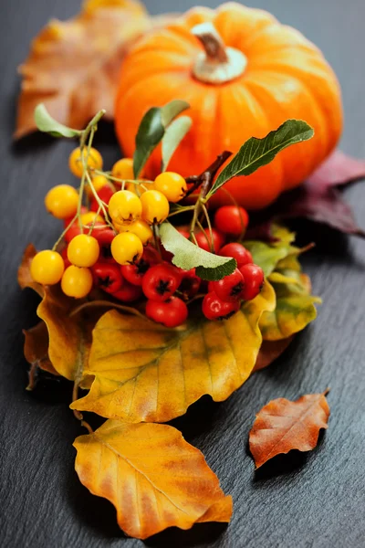 Herbstliche Komposition — Stockfoto