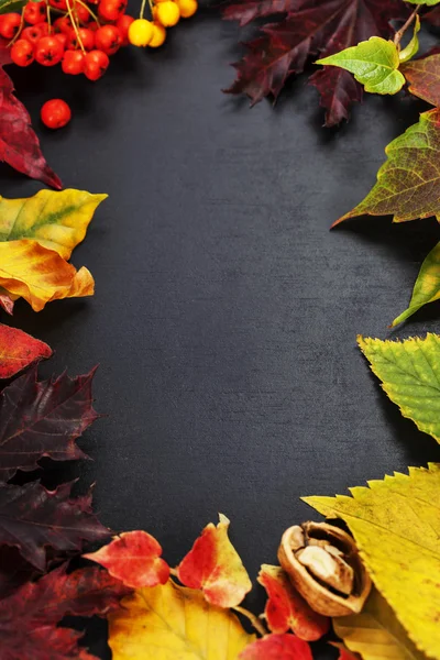Composição do outono — Fotografia de Stock
