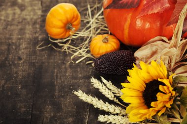 sonbahar kompozisyon