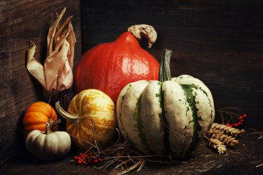 sonbahar kompozisyon