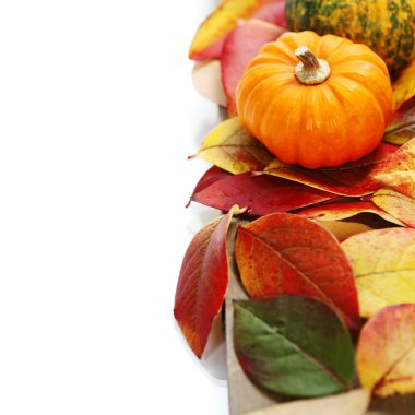 sonbahar kompozisyon