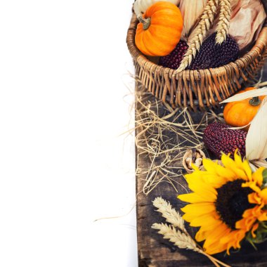 sonbahar kompozisyon