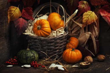 sonbahar kompozisyon