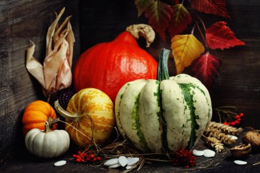 sonbahar kompozisyon