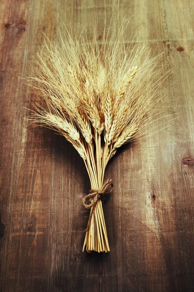 Wheat ears — Stock Photo, Image