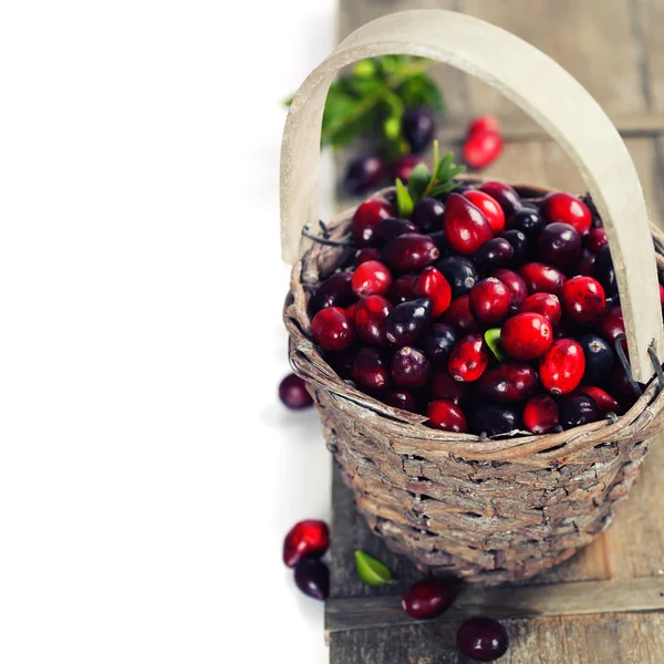 Cranberries — Stock Photo, Image