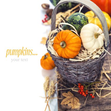 sonbahar kompozisyon