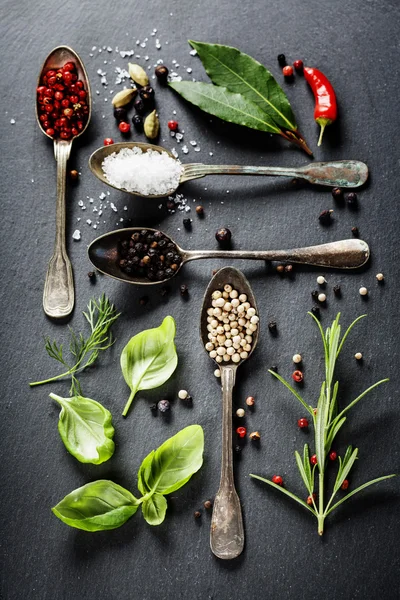 Gyógynövények és fűszerek — Stock Fotó