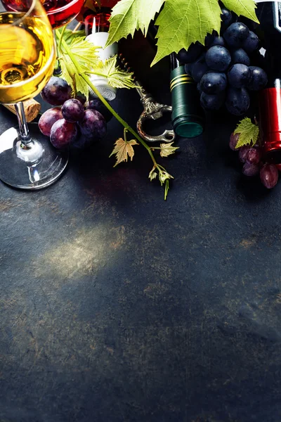 Vins et raisins — Photo