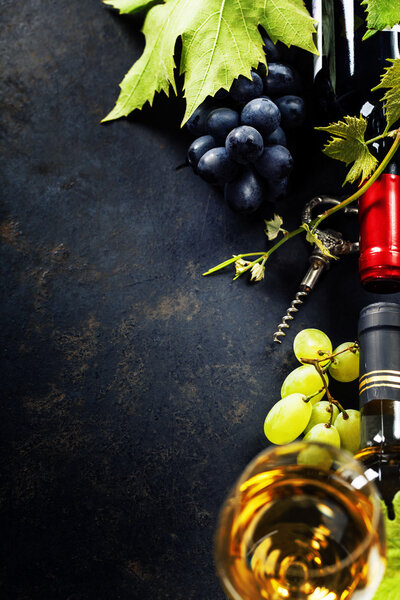 Вино и виноград
