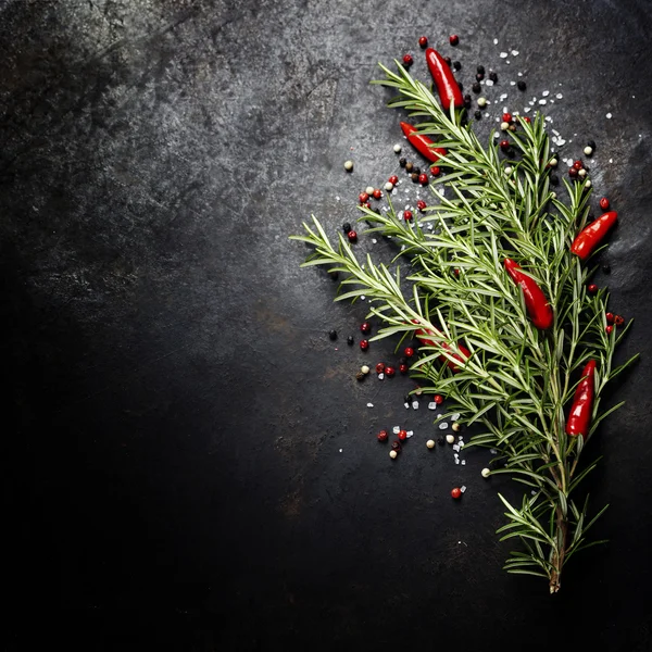 Tree of spices — Stock Photo, Image