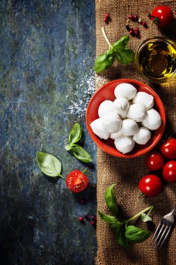 kiraz domates, fesleğen yaprağı, mozzarella peyniri ve zeytinyağı f