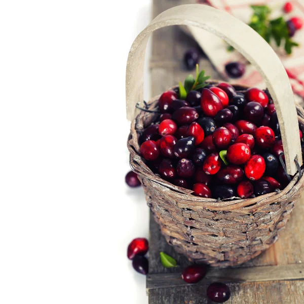Cranberries — Stock Photo, Image
