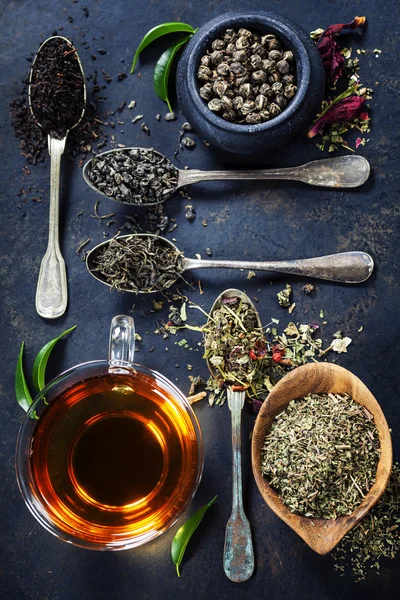 Tisane de soja — Photo