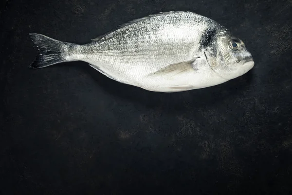 Смачну свіжу рибу — стокове фото